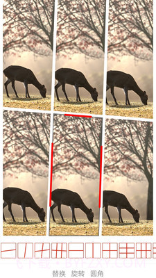 切图与拼图制作截图4 切图与拼图制作截图4