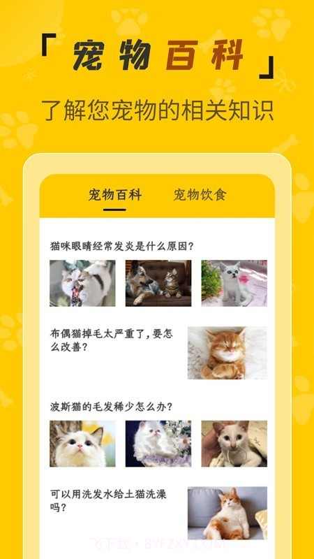 人猫翻译机截图4