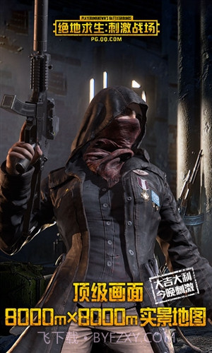 绝地求生刺激战场国际版截图2
