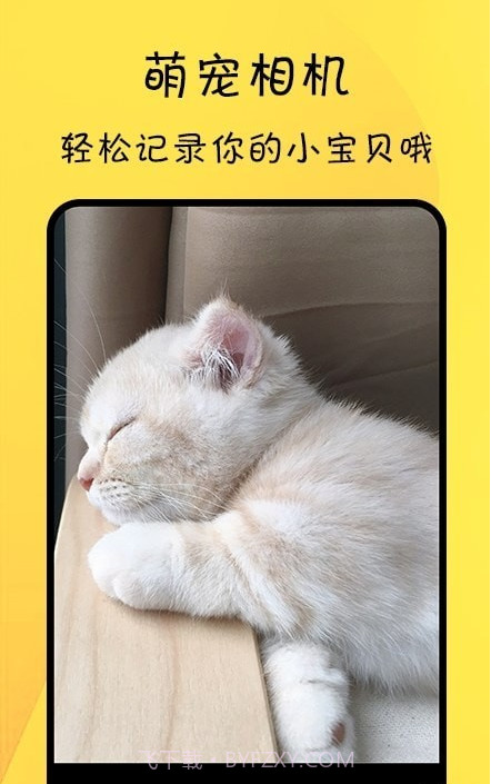 宠物记录截图4 宠物记录截图4