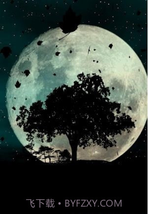 秋天动态壁纸截图2 秋天动态壁纸截图2