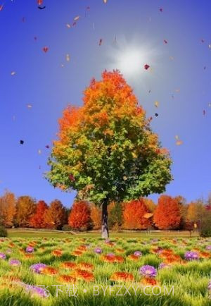 秋天动态壁纸截图1 秋天动态壁纸截图1