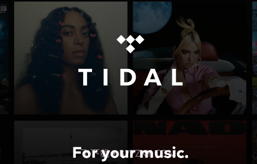 TIDAL音乐正版截图2