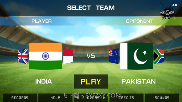 街头板球锦标赛截图1 街头板球锦标赛截图1