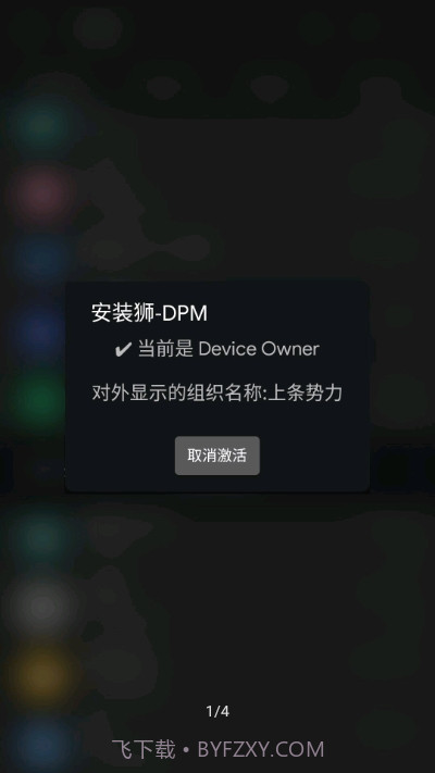 安装狮DPM截图1
