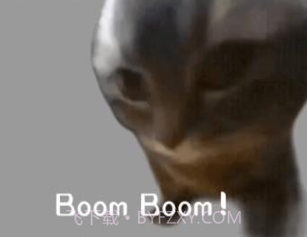 嚼嚼嚼表情包小猫截图2 嚼嚼嚼表情包小猫截图2