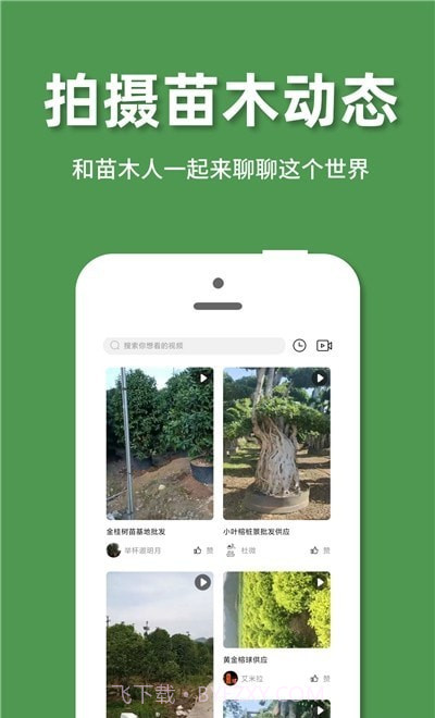 好苗木截图2 好苗木截图2
