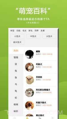 狗狗Bing商城截图3