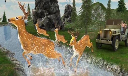 野鹿狩猎截图2