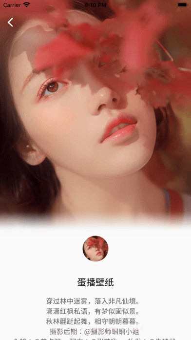 蛋播壁纸截图4 蛋播壁纸截图4