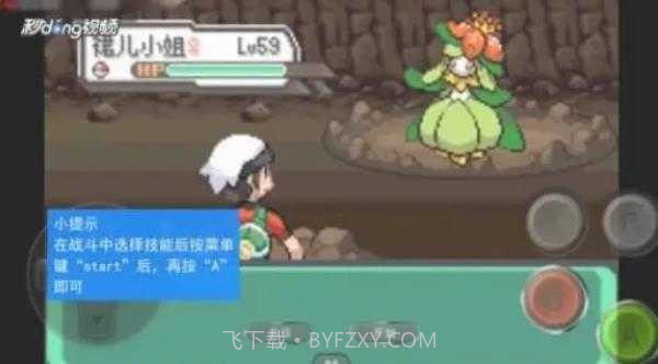 口袋妖怪绿宝石金手指截图3 口袋妖怪绿宝石金手指截图3