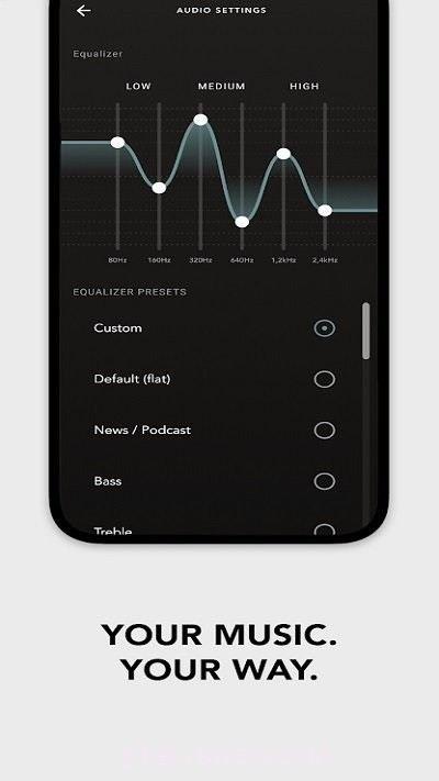 devialet gemini耳机截图3