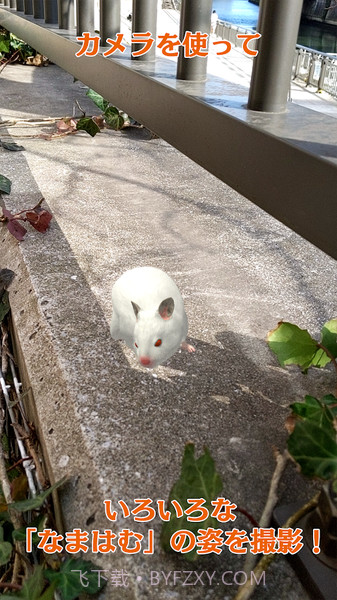 云仓鼠截图4 云仓鼠截图4