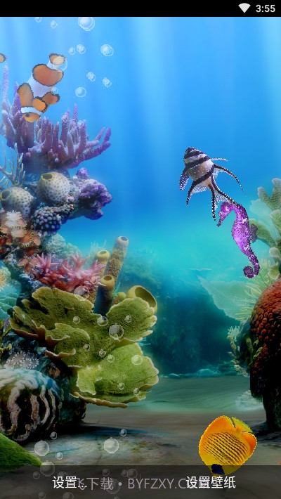 真正的水族馆Therealaquarium动态壁纸截图3 真正的水族馆Therealaquarium动态壁纸截图3