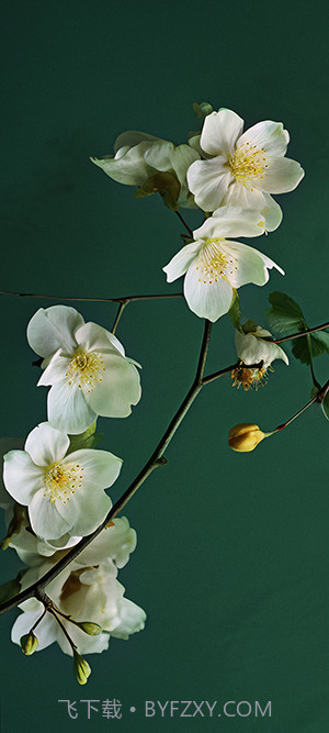 小米澎湃OS主题软件截图1