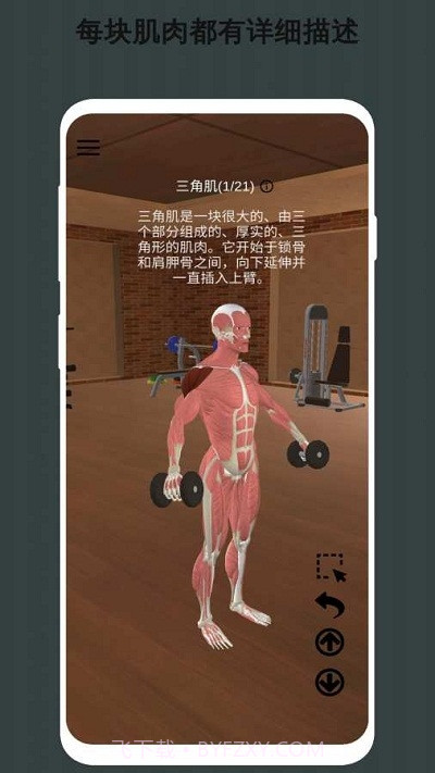 3D健身动画教程截图3 3D健身动画教程截图3