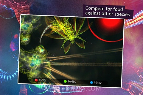 光影穿梭2截图1