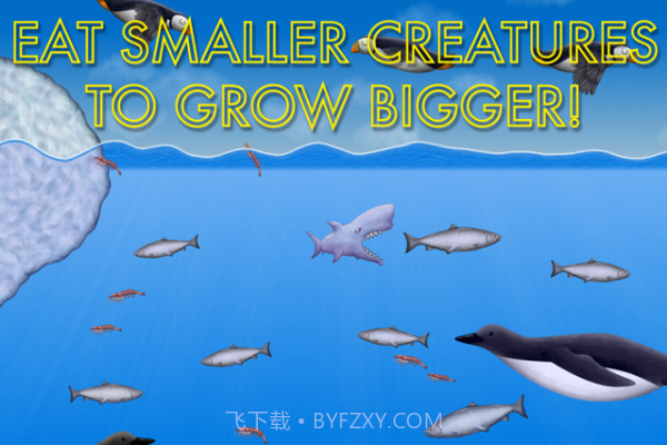 海洋生物进化截图1 海洋生物进化截图1