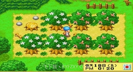 牧场物语精灵驿站中文版截图2 牧场物语精灵驿站中文版截图2