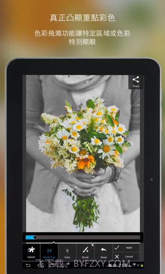 PixlrExpress免费版截图2 PixlrExpress免费版截图2