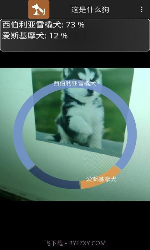 这是什么狗截图5 这是什么狗截图5