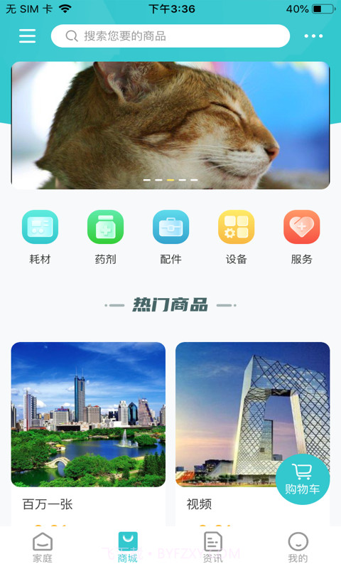 两只蜻蝏截图3
