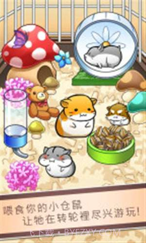 小仓鼠的生活截图2