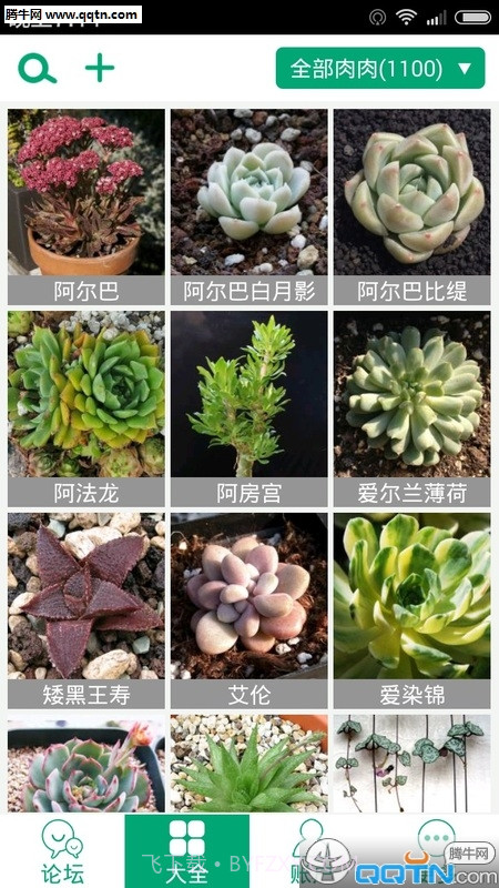 多肉植物app截图3 多肉植物app截图3