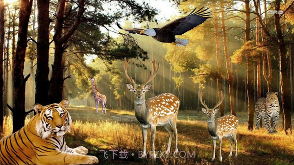 非常野生猎鹿模拟器截图4 非常野生猎鹿模拟器截图4