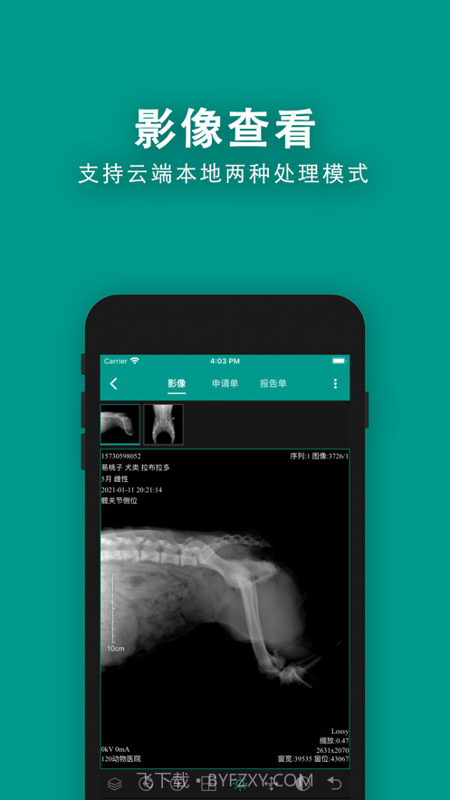 慧龙兽医影像截图2