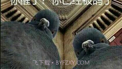 巢截图3 巢截图3