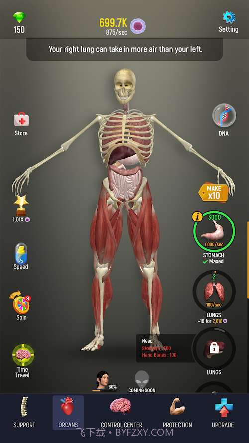 人体模型模拟器截图2