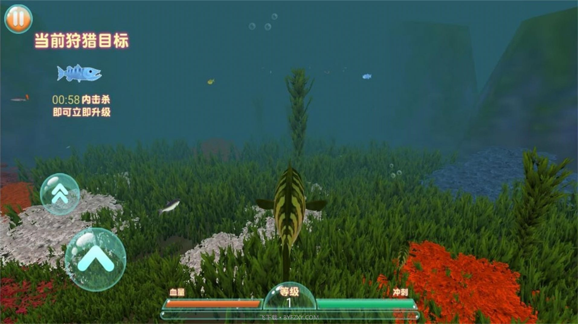 进击的鱼鱼截图1