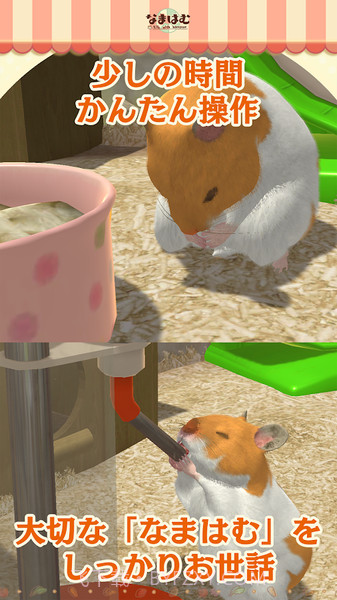 云仓鼠官网版截图3 云仓鼠官网版截图3