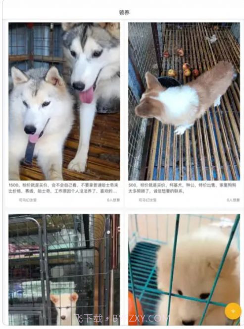 小爱宠物口令截图3