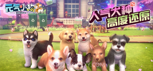 元气小狗截图3 元气小狗截图3