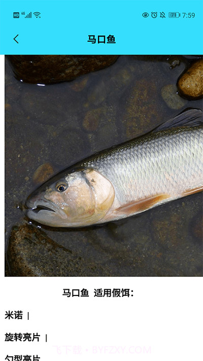 我爱养鱼截图2 我爱养鱼截图2