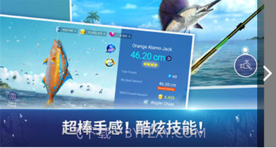 Fishing Strike截图2