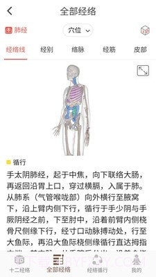 3D BODY(经络穴位3D)截图3 3D BODY(经络穴位3D)截图3