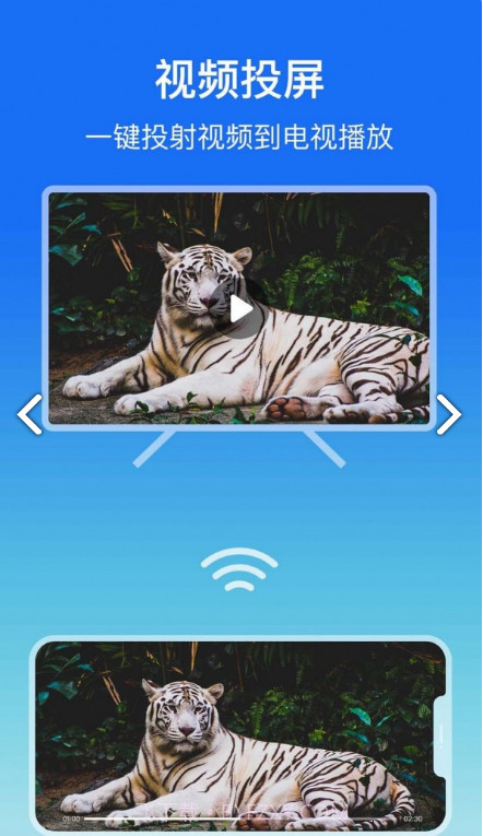 lbtp屏幕镜像手机版截图3 lbtp屏幕镜像手机版截图3