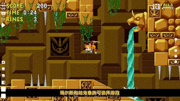 刺猬索尼克3d游戏截图3 刺猬索尼克3d游戏截图3