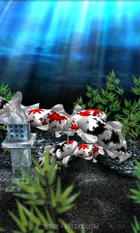 3d水族馆动态壁纸截图3