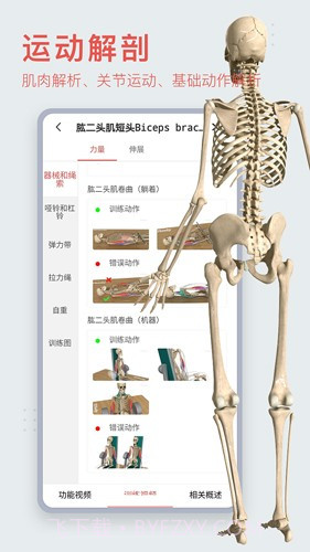 3Dbody艺用(3Dbody艺用三维人体模型)V8.4.41 安卓最新版截图1