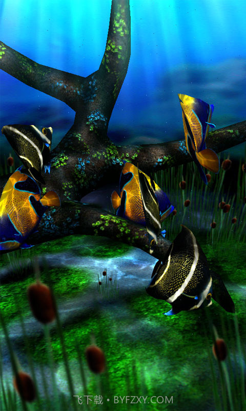 3d水族馆动态壁纸截图4