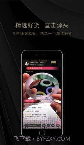 玩转翡翠(玩转翡翠)最新截图3