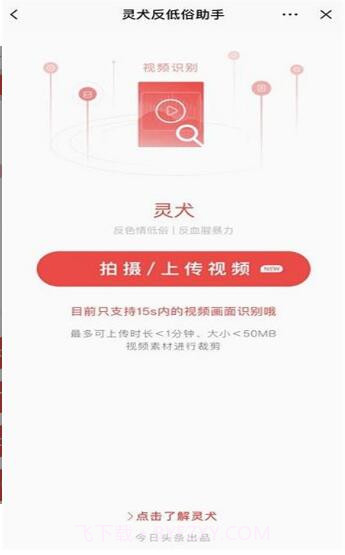 今日头条灵犬官方版截图1