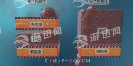 细菌互动教育手机版截图2 细菌互动教育手机版截图2