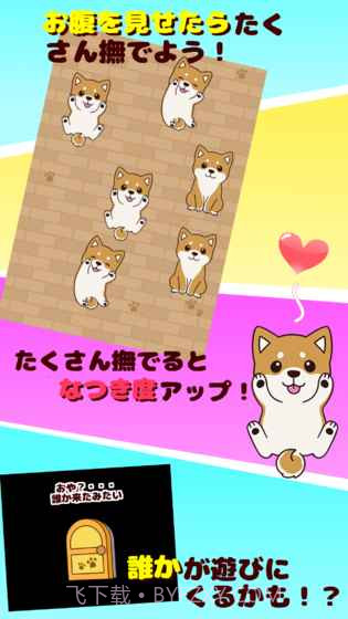 抚摸小狗最新版截图2 抚摸小狗最新版截图2