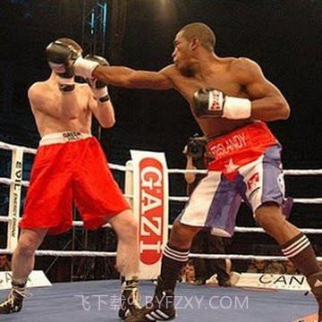 拳击WWE游戏截图4 拳击WWE游戏截图4