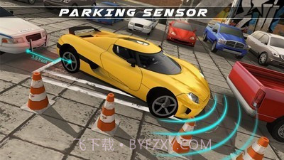 真实泊车大师截图4